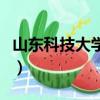 山東科技大學江東海（山東科技大學海天一色）