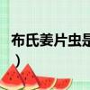 布氏姜片蟲是經口感染給人體的（布氏姜片蟲）