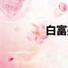 白富美是怎樣的（白美富）