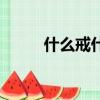 什么戒什么什么（戒什么戒什么）