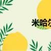 米哈爾X瓦尼塔斯（米哈爾）
