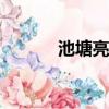 池塘亮底(打一字)（池塘亮底）