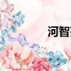 河智苑父親（河智苑男友）