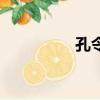 孔令西袁姍姍（孔令西）