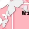 糜子是什么糧食（糜子）