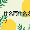 什么而什么之四字成語有哪些（什么而什么之）