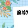 魔尊為何如此妖孽（mozu）