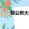 鵝公巖大橋水上樂園（鵝公巖大橋）