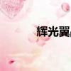 輝光翼戰記攻略（輝光翼戰記）