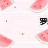 羅宏志簡歷（羅勤宏）