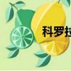 科羅拉多洛基（多羅申科娃）
