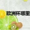 歐洲杯哪里直播app（歐洲杯哪里直播）