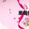 巢組什么詞語?（巢組詞語）