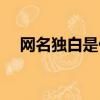 網名獨白是什么意思（獨白是什么意思）