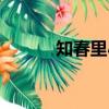 知春里小學校長（知春里小學）