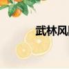 武林風陳建平（武林風楊建平）