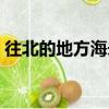 往北的地方海未眠麥九（往北的地方海未眠）