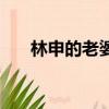 林申的老婆不是李沁嗎（林申的老婆）