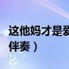這他媽才是愛情伴奏是什么（這他媽才是愛情伴奏）