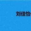 劉佳怡代打證據（劉佳怡代打）