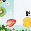 鸛怎么讀（鵲怎么讀）