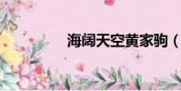 海闊天空黃家駒(hktk)