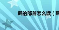 鶴的部首怎么讀(鶴的部首)