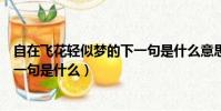 自在飛花輕似夢的下一句是什么意思(自在飛花輕似夢的下一句是什么)
