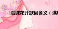 滿城花開歌詞含義(滿城花開歌詞)