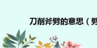 刀削斧劈的意思(劈的意思)