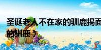 圣誕老人不在家的馴鹿揭面(圣誕老人不在家的馴鹿)
