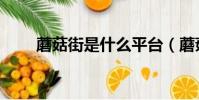 蘑菇街是什么平臺(蘑菇街是什么)