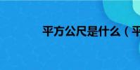 平方公尺是什么(平方公尺)