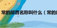 常的部首名稱叫什么(常的部首是什么部首)