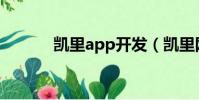 凱里app開發(凱里網站開發)