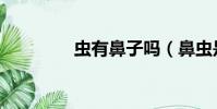 蟲有鼻子嗎(鼻蟲是什么)