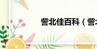 訾北佳百科(訾北佳)