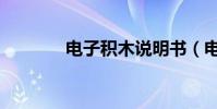 電子積木說明書(電子積木)