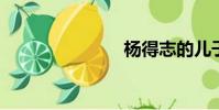 楊得志的兒子