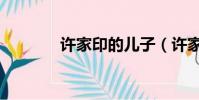 許家印的兒子(許家印兒子)