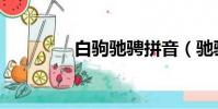 白駒馳騁拼音(馳騁拼音)