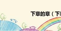 下章的章(下章)
