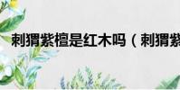 刺猬紫檀是紅木嗎(刺猬紫檀選佰家漢典)