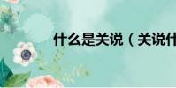 什么是關說(關說什么意思)