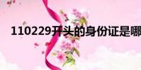 110229開頭的身份證是哪里的(11022)