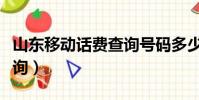山東移動話費查詢號碼多少(山東移動話費查詢)