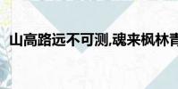山高路遠不可測,魂來楓林青(魂來楓林青)