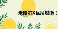 米哈爾X瓦尼塔斯(米哈爾)