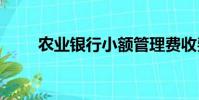 農業銀行小額管理費收費標準2021
