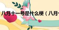 八月十一號是什么梗(八月十七號是什么梗)